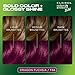 Clairol Natural Instincts Bold Permanent Hair Dye, F66 Dragon Fuchsia Hair Color, Pack of 1