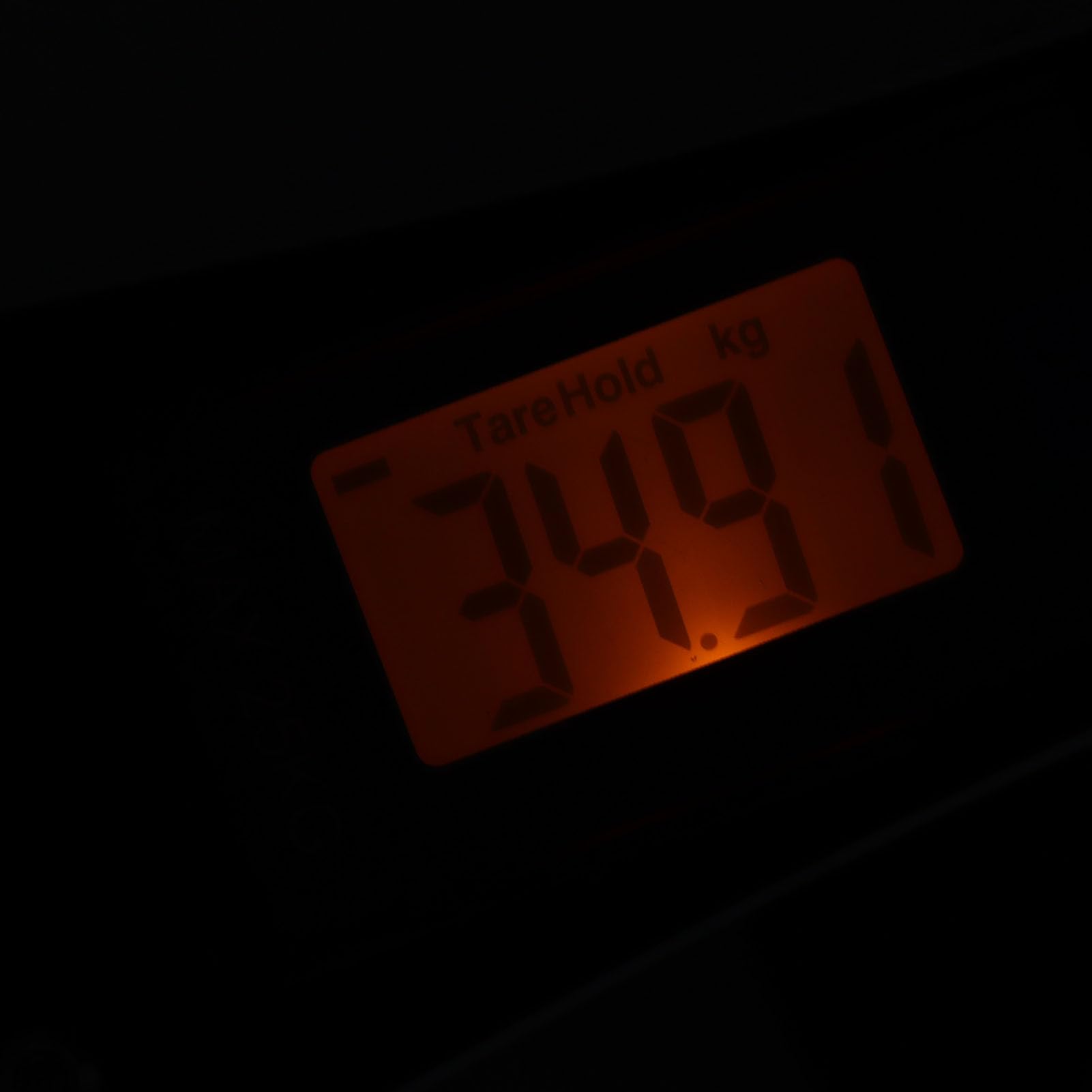 Pssopp 55lb Chwytak do Ryb ze skalą cyfrową Elektroniczne Ważenie Szczypce Wędkarskie Zaciski ze Stali Nierdzewnej dla Mężczyzn Sprzęt Wędkarski