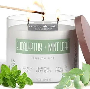 Affordable Self-Care Products for Stress Relief Candle-lite Essential Elements Scented Candles, Eucalyptus & Mint Leaf