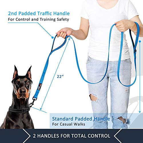Image of Pioneer Petcore Dog Leash 6ft Long,Traffic Padded Two Handle,Heavy Duty,Reflective Double Handles Lead for Control Safety Training,Leashes for Large Dogs or Medium Dogs,Dual Handles Leads(Sky Blue)