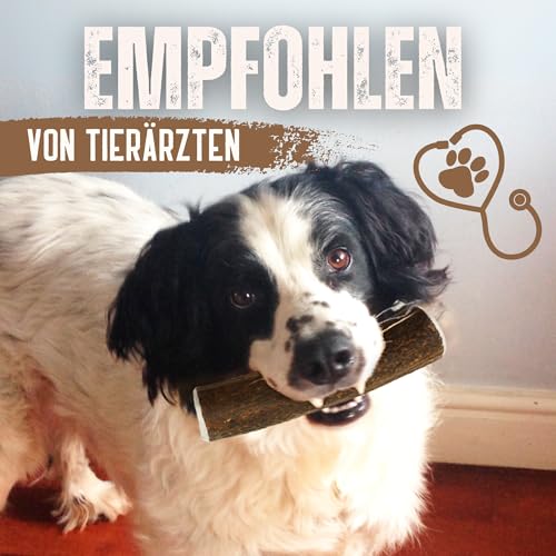 Hirschgeweih Hund – Kaustab Naturkauer | Zahnpflege | Ohne Zusatzstoffe – Kira&Gara® (L · 101-150g · 1 Stück) – Ansicht 8