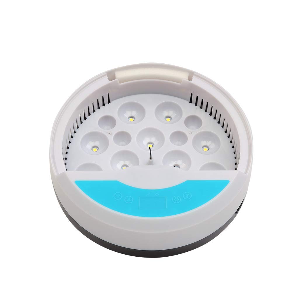 TopHomer Incubatrice automatica digitale 9 uova Mini casa con luce LED e regolazione della temperatura per pollame o regalo per bambini