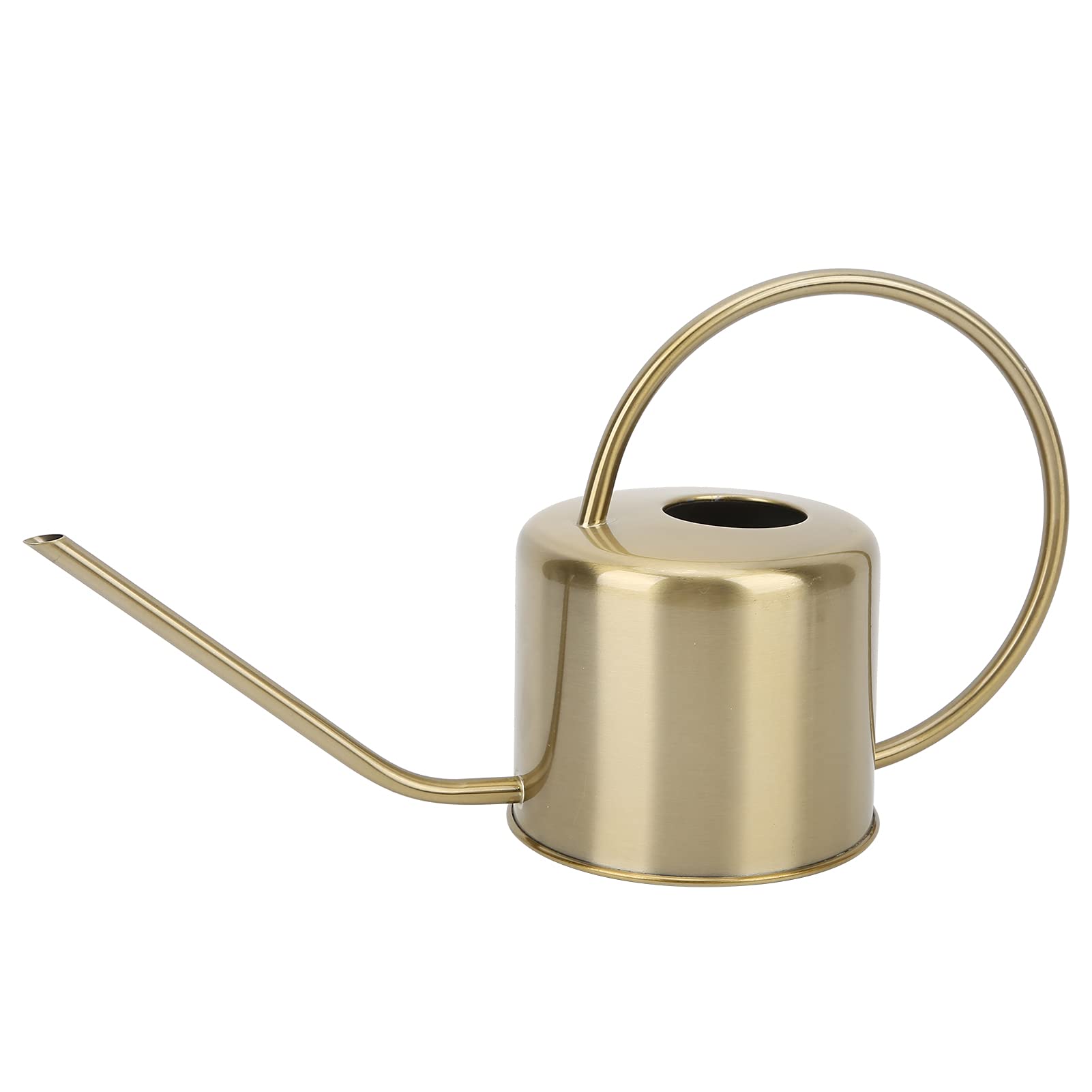 Arrosoir en Acier Inoxydable, 1300 Ml/43 Oz Jardinage Plantes d'IntéRieur Pot D'Arrosage avec Long Bec pour Plantes Succulentes Plantes d'IntéRieur Jardinage DéCoration de Remise de Fleurs