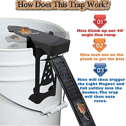 Planche mouse trap RinneTraps auto reset avec double rampe mise à jour