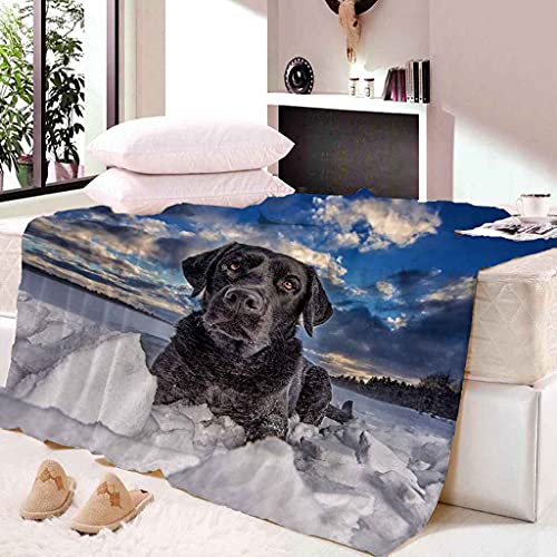 Couverture chaude chiot en microfibre lavable pour éliminer le froid du soir