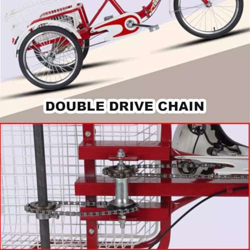 Bicicleta Carga 20 Pulgadas para Adultos con Canasto miniatura 6