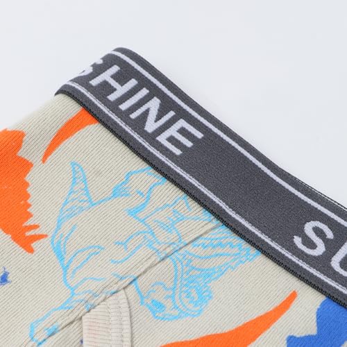 Baby Toddler Boys Briefs, Little Kids Potty Training Underwear, Dinosaur, Cartoon printed, 6-Pack4