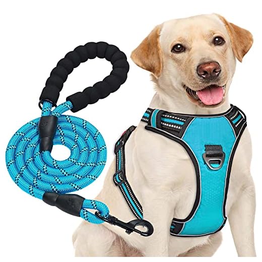haapaw Arnés para Perro sin Tirar, Ajustable, Reflectante Oxford, fácil de controlar, Mediano y Grande, con una Correa para Perro Resistente