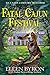 Fatal Cajun Festival: A Cajun Country Mystery