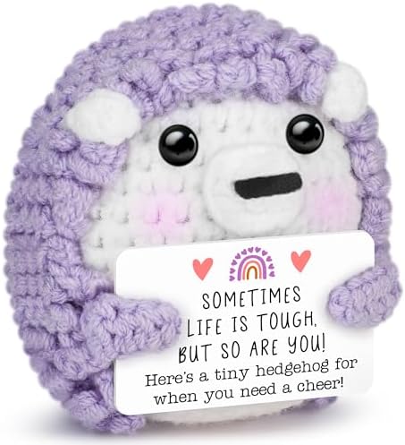 Handmade Crochet Hedgehog with Encouragement Card – Cute Desk & Shelf Decor, Self Motivation Ornament, Inspirational Gift for Friend, Daughter, Student, Coworker, Get Well Soon Cheer Up Keepsake
