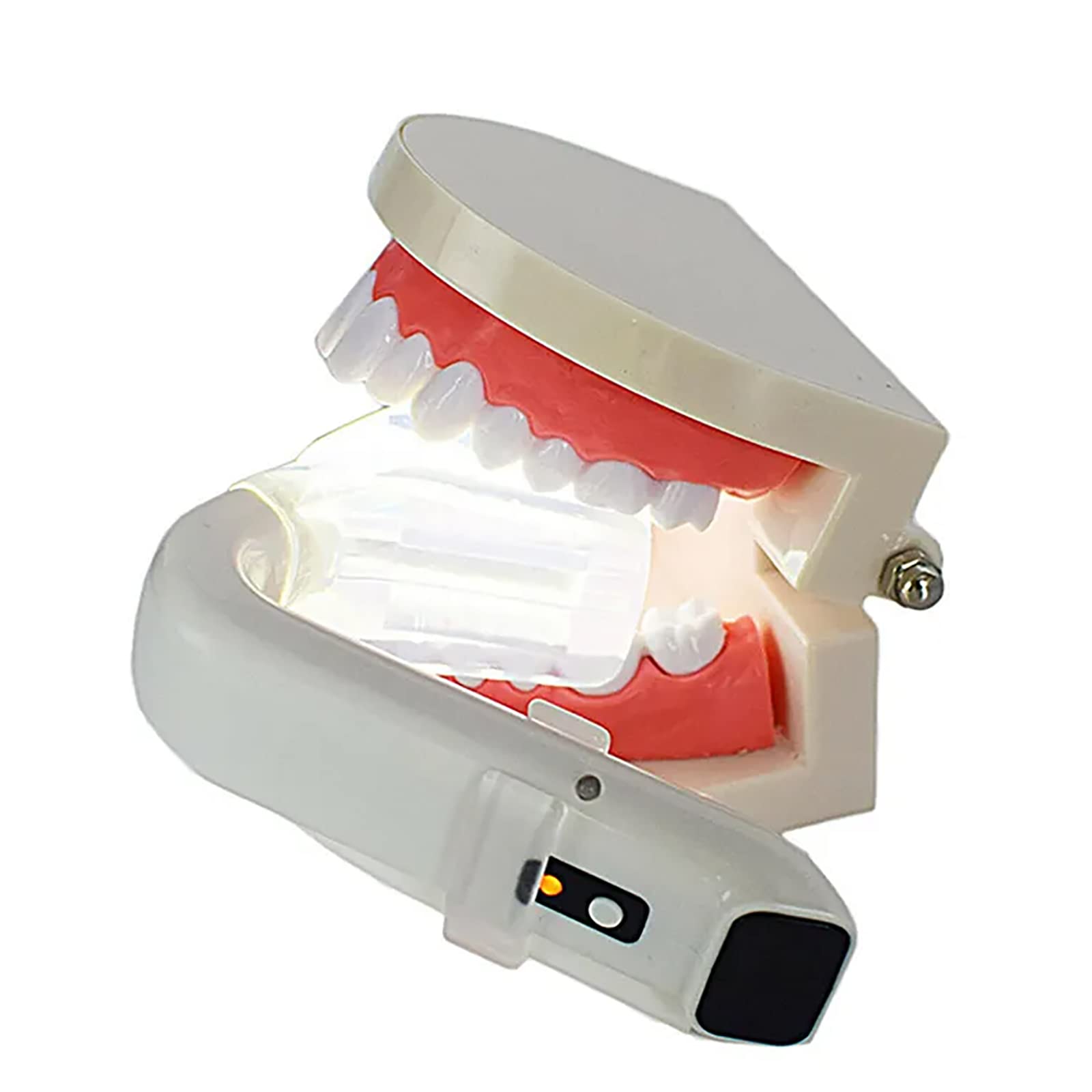 Esame Odontoiatrico Orale Leggero, Lampada per L’Esame Orale LED con Funzione Succhiante Saliva E USB, Luminosità Regolabile E 4 Testine in Silicone Modificabili, per L’Esame Dentario