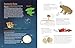Mushrooms and Company: How a Marvelously Moldy Network Supports Life on Earth