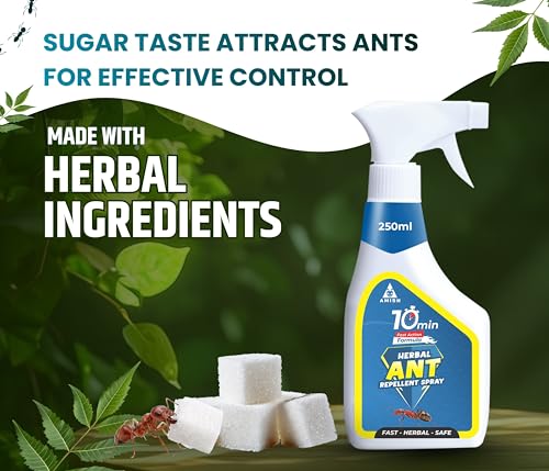 Image of Amish Ant Repellent Spray 250ml Pack of 2 for Home & Kitchen | Herbal Organic Indoor Outdoor | Pet Safe, Safe for Dogs | Eco Friendly Remover for Home, Plants | 10 Minutes Formula| Repellent Spray