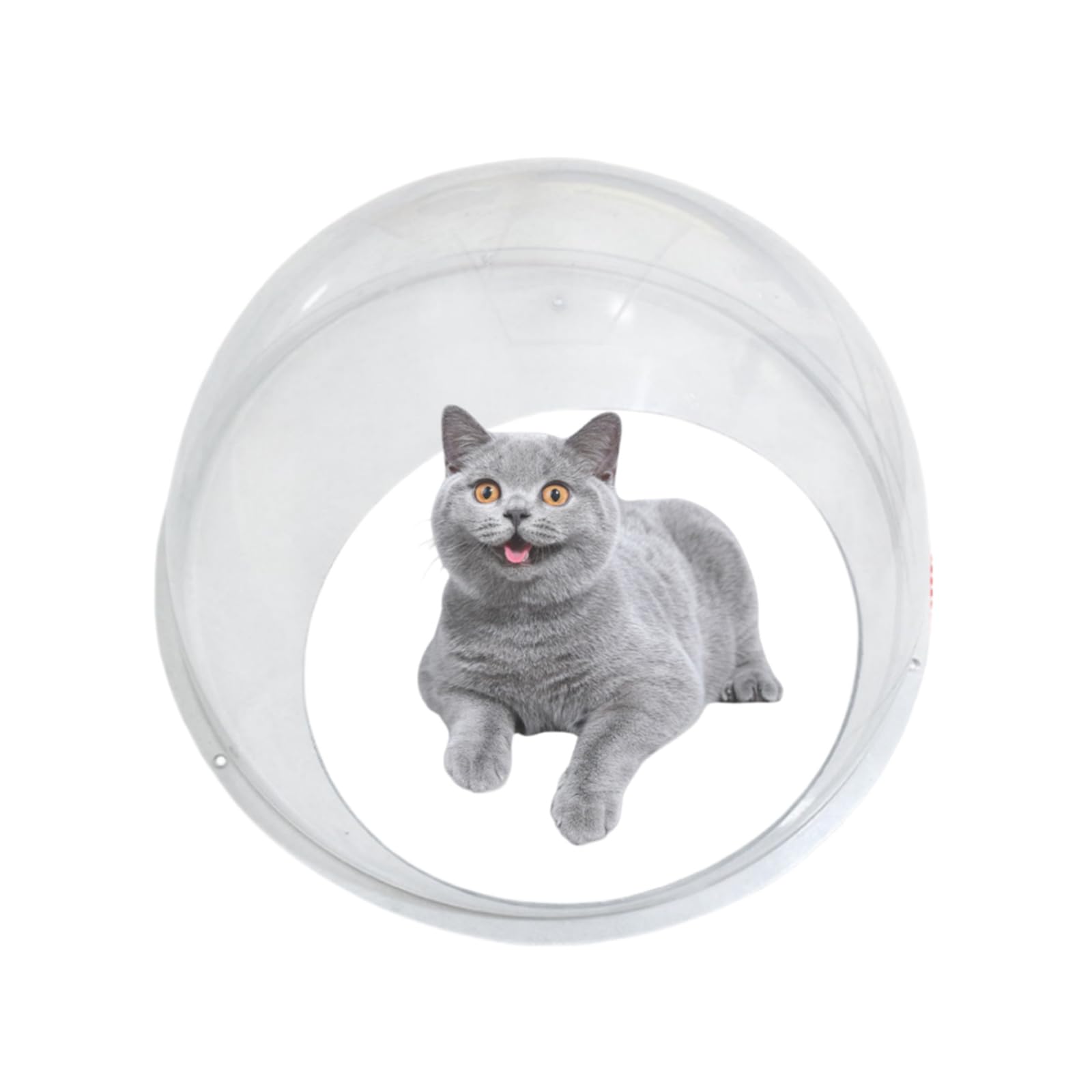 Amazon | 宇宙船 猫 ハンモック猫 キャットタワー宇宙船 透明