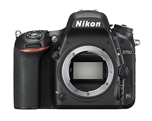 Ficha técnica Nikon D750 - Cámara réflex digital 24.3 Mp Kit con objetivo 24-85 mm - Fernando Cortés