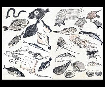 ハンドメイド 魚の絵画北斎タナゴ ハンドメイド 魚の絵画北斎タナゴ - 絵画ファッション 通販