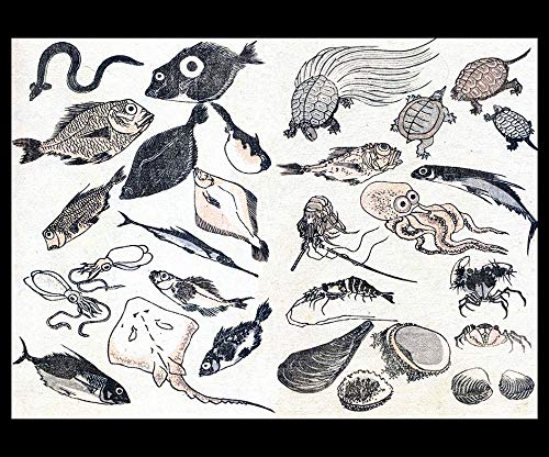 Amazon.co.jp: 葛飾北斎 『 北斎漫画（魚づくし）』のマウスパッド