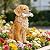 COWOS Solar Dog Statue with Glowing Bone, Golden Retriever Dog Statues for Outdoor Garden Decor, Weatherproof Dog Figurines and Pet Memorial Gift