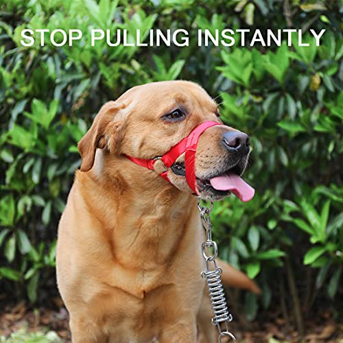 Dog Head Collar, No Pull Training Tool For Dogs On Walks, Includes Free Training Guide, 5 (M, Red) #TOP3