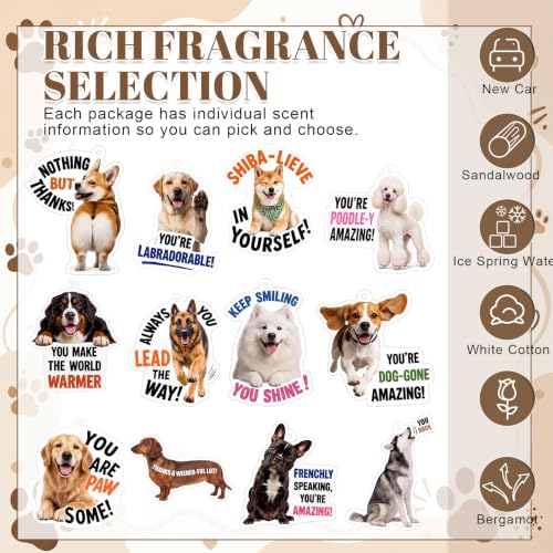Image of Siifert 24 Pcs Vet Tech Appreciation Week Gift Bulk Dog Air Freshener Car
