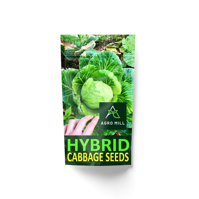 AGO MILL HYBRID F1 CABBAGE/PATTA GOBHI/GOBHI SEEDS FOR HOME KITCHEN GARDEN (50 PER PACKET).11 (B0BTHRDP72) Amazon Price History, Amazon Price Tracker