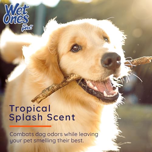 Image of Wet Ones for Pets Antibacterial Heavy Duty Dog Paw Wipes with Tropical Splash Scent - Kills 99.99% of Germs, Thick Durable Disposable Paw Wipes for Dogs, 50 Count