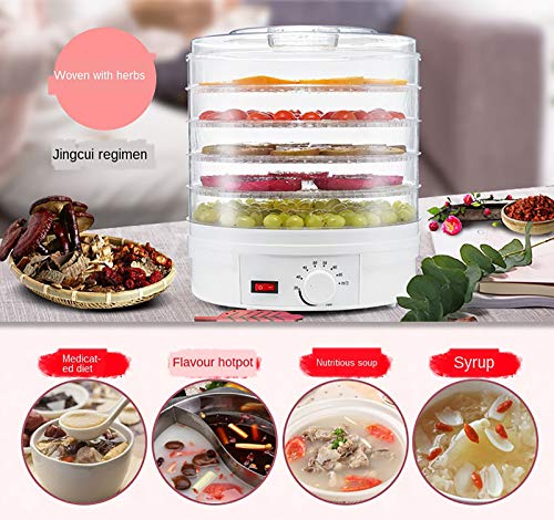 Lebensmitteltrockner,350W Intelligenter Elektrischer Dörrapparat 5 Tabletts Einstellbare Temperatur 35-70 ° C, Doppelter… – Bild 3