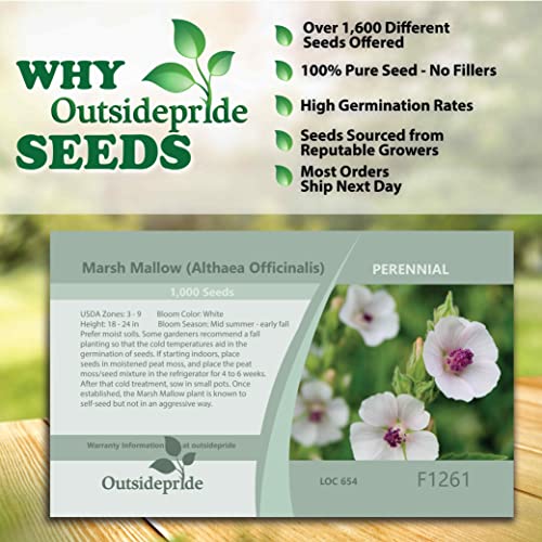Outsidepride Perennial Althaea Officinalis Marsh Mallow Herb Garden Plants - 1000 Seeds #TOP4