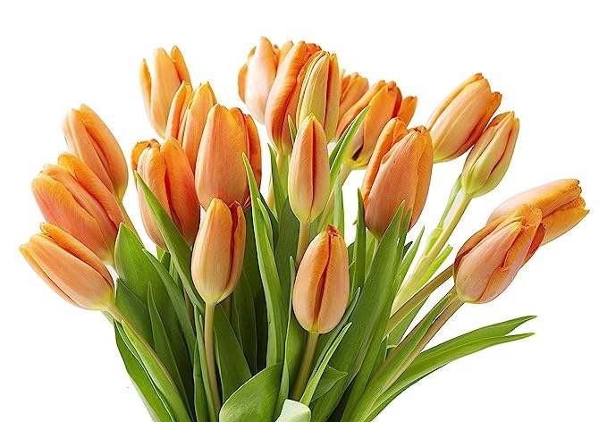 Image of KaBloom-10 Orange Tulip Bouquet,Flowers for Valentine, Mother's Day