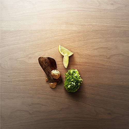 VICTORINOX Wood V0001229 Eau de Toilette woda toaletowa dla mężczyzn, perfumy z drewnem orzechowym i cytrusowym, drzewna i świeża, wegańska, 100 ml