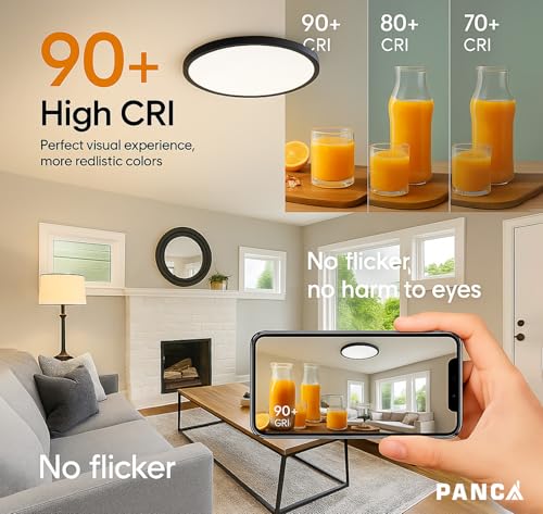 Image of PANCA 12-Inch LED Ceiling Light with Remote | 24W 3-Color Dimmable Smart Ceiling Light with Night Light Mode | Warm, Cool & Neutral Flush Mount Round Ceiling Lamp for Home (Black)
