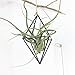 Rustic Style Hellow Freestanding Hanging Double Diamond Shaped Metal Tillandsia Air Plants Rack Holder 3.5 inches Sides x 5.9inches Height (Black) No Plants