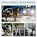 XUVIRA Dog Sling for Medium Dogs Hind Leg Support – Helps with Joint Pain, Mobility Issues, and Ivdd, Rear Leg Lift Harness with Chest Strap, Adjustable Elastic, and Reflective Material, M