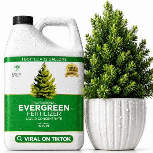 Leaves and Soul Evergreen Tree Fertilizer
