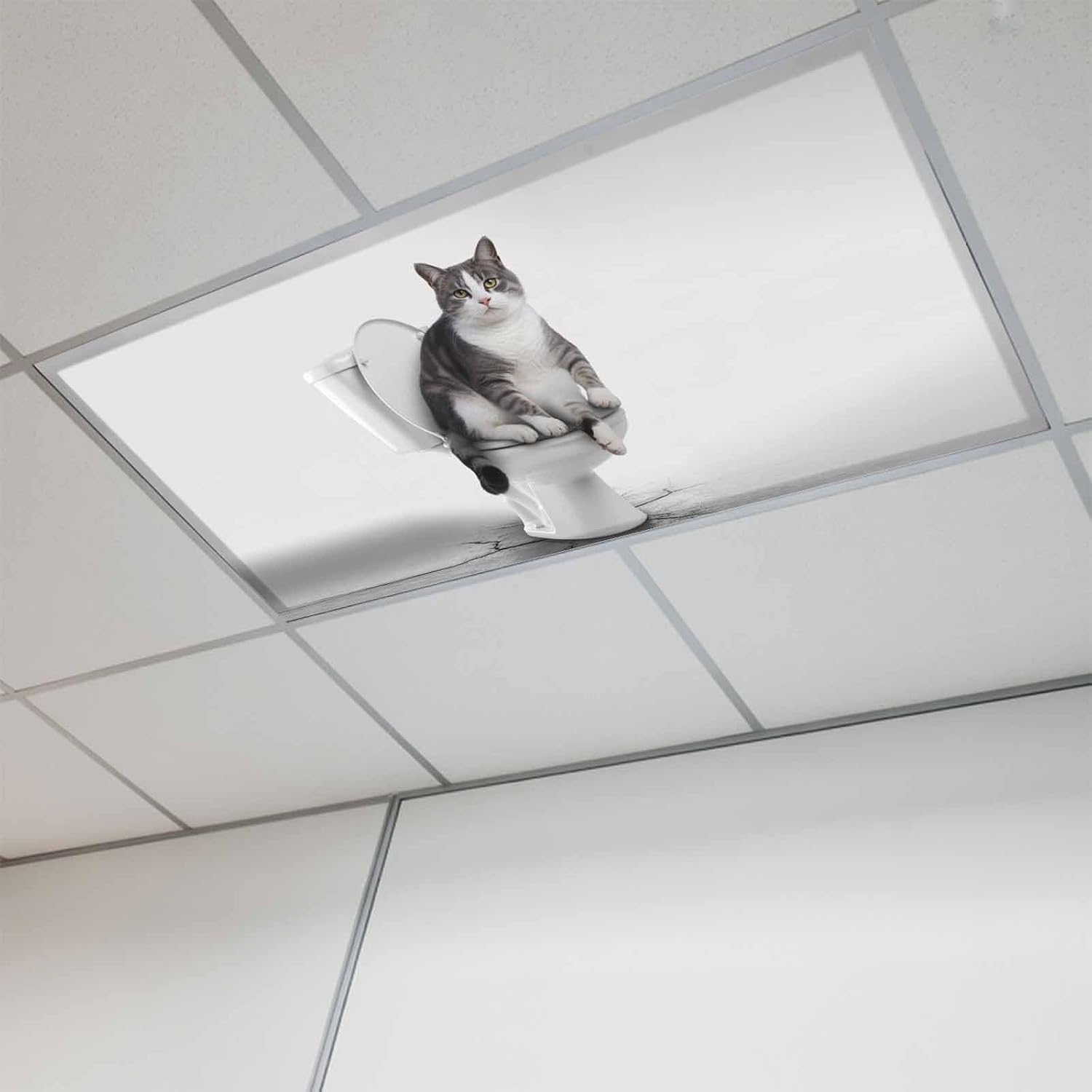 2x4 ft Fluorescent Light Cover for Ceiling Cute Funny Cat on The Toilet Magnetic Light Filters, Animal Grey Art Ceiling Lampshades for Home School Office 1Pcs