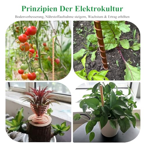 SZLIZHUO 1 Stück Durchmesser 20 Gauge 0.8mm Länge 23m 99.9% Reiner Kupferdraht, Electroculture Gardening Kupferdraht, für DIY Gartenarbeit, Pflanzen-und Gemüseanbau (1, 0.8mm/23M)