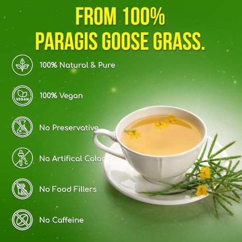 Image of FreshDrinkUS, Premium 40 Paragis Tea Bags, 100% Natural & Pure, Made with Natural Materials-Corn Fiber Tea Bags, Sugar /Gluten Free. Rich in Antioxidants.