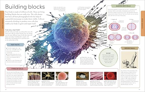 Human Body A Visual Encyclopedia - Image 3