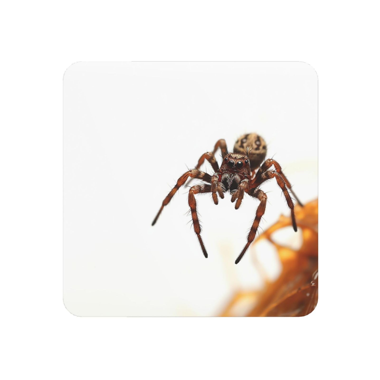 Brown Spider Fridge Magnets Cute Strong Refrigerator Magnets Fun Magnet for Locker Office Whiteboard Decor, Door Magnets Decorative Magnetic Stickers for Home Decor