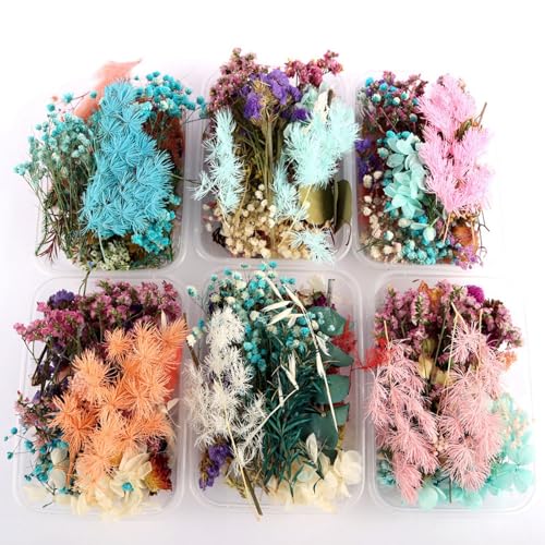 Flores secas prensadas variadas para manualidades miniatura 1