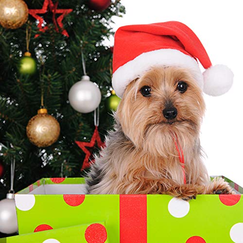 Cat Dog Santa Christmas Hat, Muffler and Elk Antler Reindeer Hat, Hats for Cats, Head Wear Accesories Adjustable Pet Cat Christmas Costume Outfits for Pet Dog Cats Rabbits (Pack of 3 Pcs)