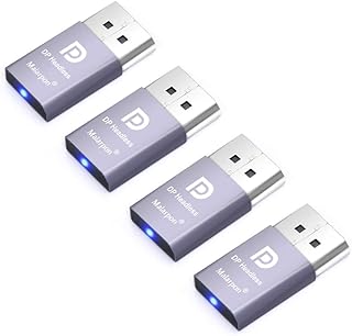 Malarpon DispalyPort Headless Ghost Display Emulator with Blue Light for PC 4K DP Dummy Plug (fit Headless 1080@60Hz-3840x2160@17Hz) 4P