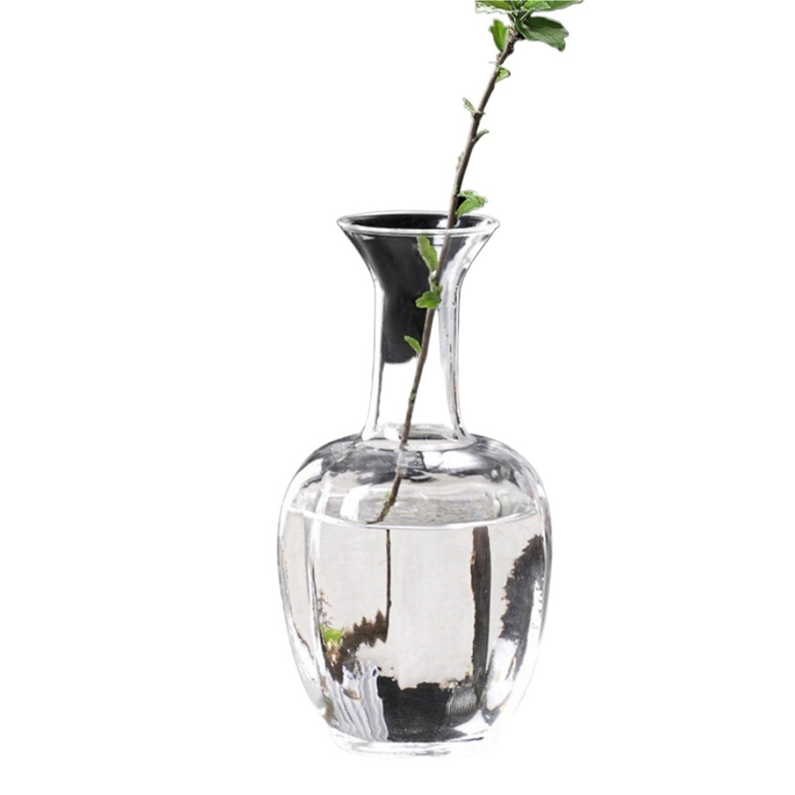 QuxetlRyz Glass Hydroponic Vase Elegant Clear Glass Vase Flower Vases Hydroponic Plant Terrarium DIY Arrangements Wedding Home Table Decor(Size 2)