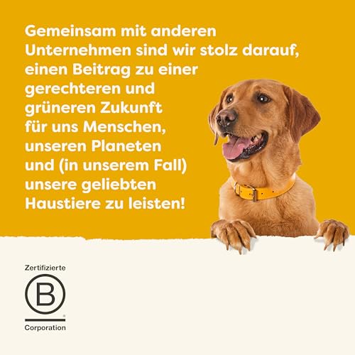 Applaws Taste Toppers 100% natürliche Hundefutter Topper, Hühnerbrühe für trockene Hundefutter 6 x 200g Beutel