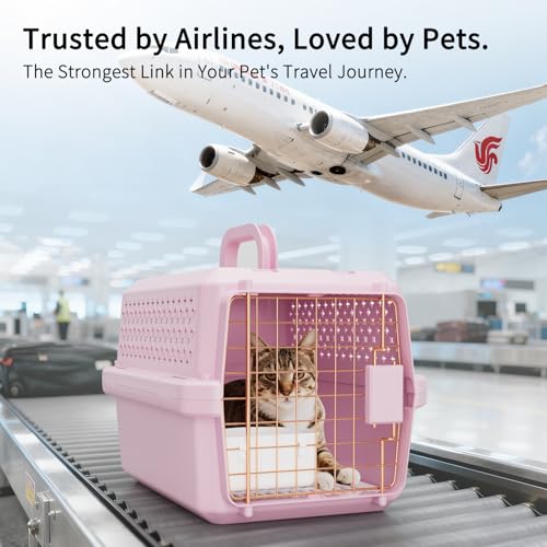 RIZZARI Pets Small Hard-Sided Dog Carrier:Portable Pet Travel Crate for Dogs & Cats - Ventilated Plastic Pet Carrier with Metal Door and Top Handle (Pink, Small) - Thumbnail 4
