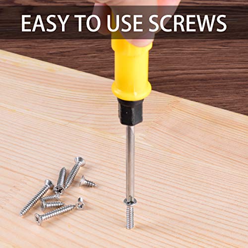 Loscrew 620 Stück Kreuzschlitz-Blechschrauben-Kit M2, M3, M4, 15 Größen von 304-Edelstahl-Senkkopfschrauben, für… – Bild 6