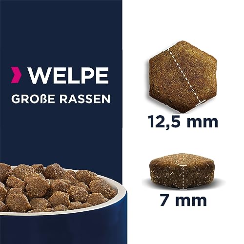 Eukanuba Welpenfutter getreidefrei mit Lamm für große Rassen - Trockenfutter ohne Getreide für Junior Hunde, 12 kg