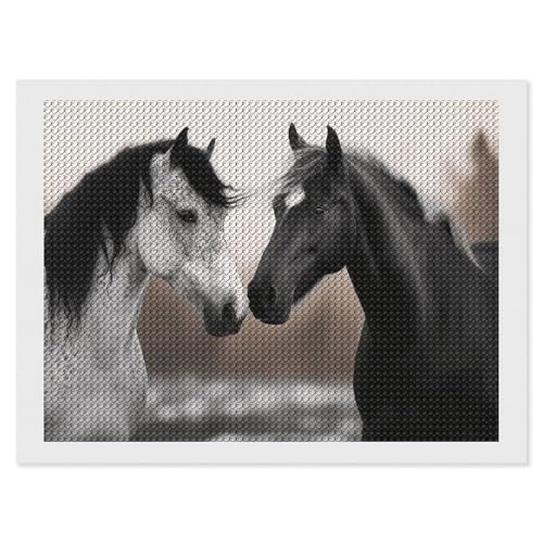 Kit de peinture diamant 5D chevaux noirs et blancs 30x40 cm STVNKML pour adultes