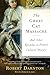 The Great Cat Massacre: And Other Episodes in French Cultural History
