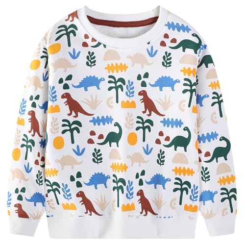 Image of Hongshilian Unisex Kids Cute Cartoon Cotton Sweater Shirt